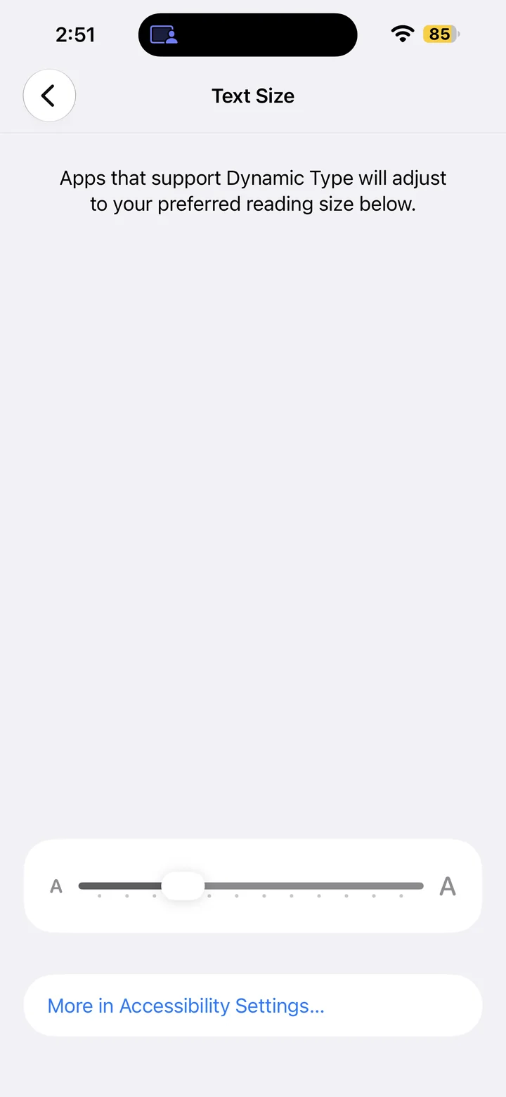 Text Size settings with the size slider