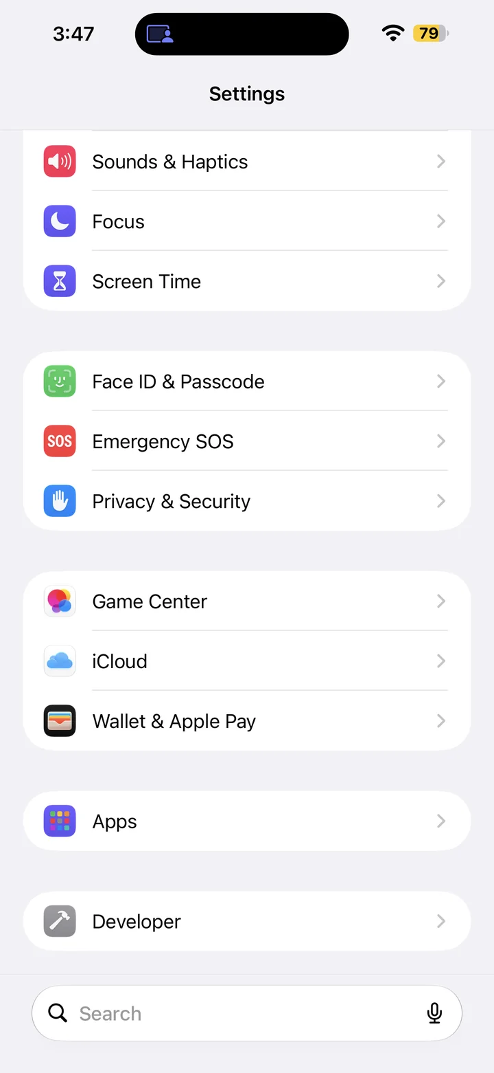 Settings showing the Developer menu