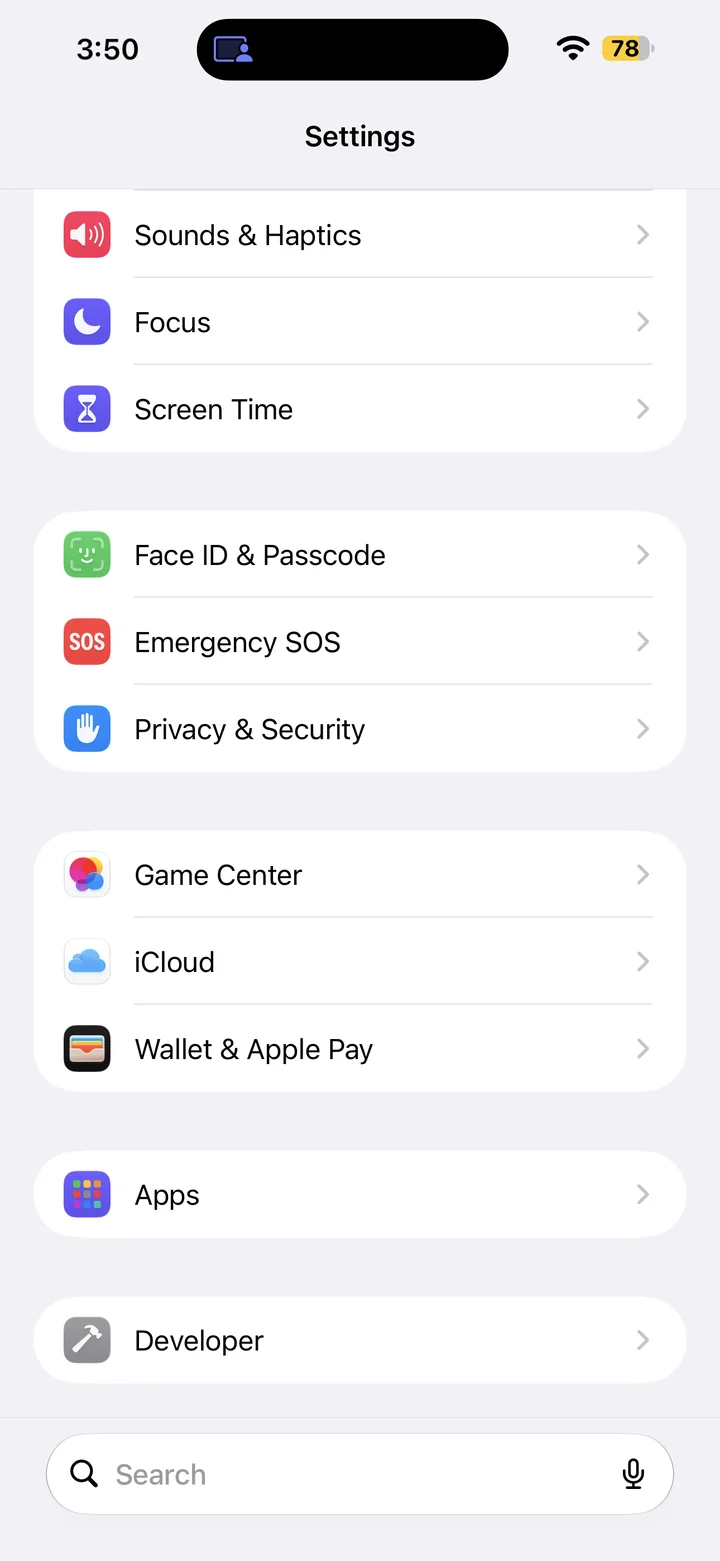 Settings showing the Developer menu