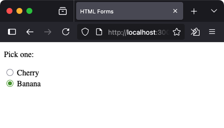 HTML - Radio Input