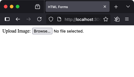 HTML - File Input