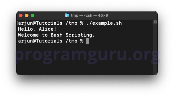Defining and calling a function with parameters in Bash