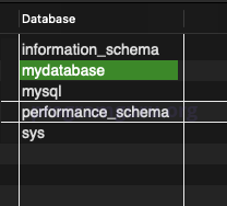 MySQL SHOW DATABASES Output